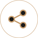 network icon